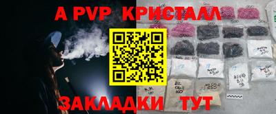 кокс Пугачёв