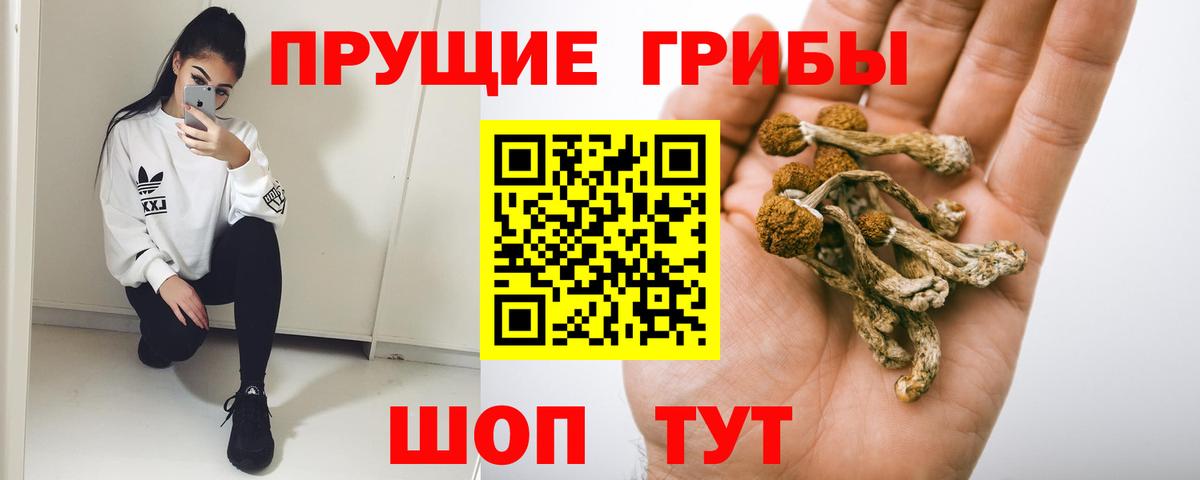 даркнет сайт  Галлюциногенные грибы прущие грибы  Новодвинск  Вход с VPN  Псилоцибиновые грибы прущие грибы 